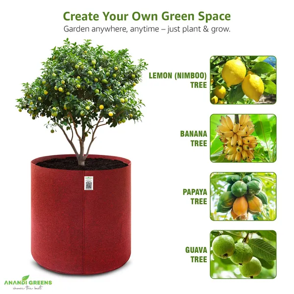 Maroon_Geo_Fabric_Plant_Grow_Bag_24X24_In