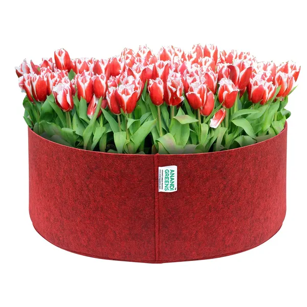 Maroon_Geo_Fabric_Plant_Grow_Bag_24X9_In_400_Gsm