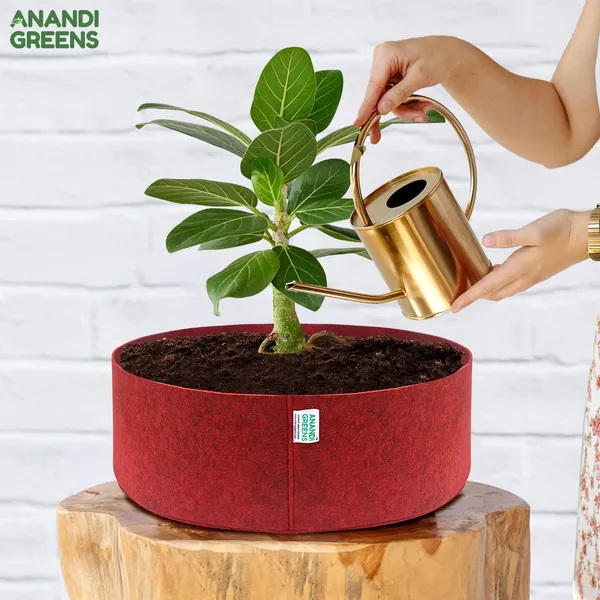 Pack_Of_3_Maroon_Geo_Fabric_Plant_Grow_Bag_24X9_In_400_Gsm