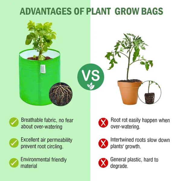 Pack_Of_5_Green_Hdpe_Circular_Grow_Bag_6X6_In_260_Gsm