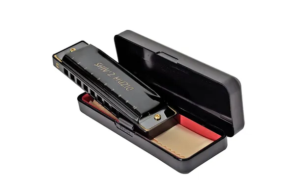 Black_Harmonica,_10_Holes_Mouth_Organ_(With_Carry_Case_&_Manual)