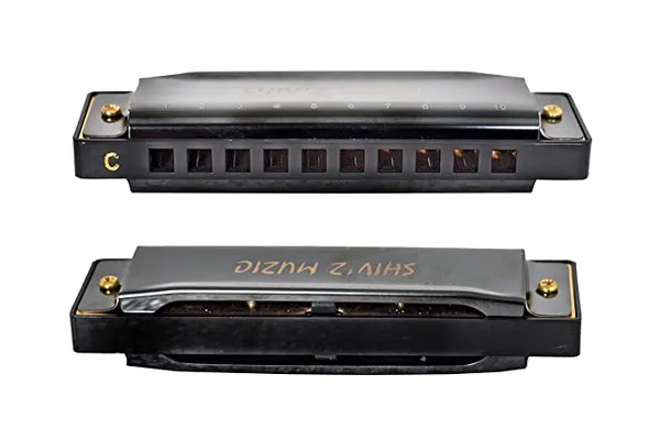 Black_Harmonica,_10_Holes_Mouth_Organ_(With_Carry_Case_&_Manual)