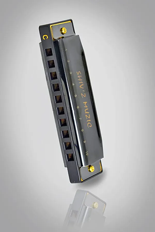 Black_Harmonica,_10_Holes_Mouth_Organ_(With_Carry_Case_&_Manual)