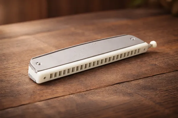 Silver_Tower_Mouth_Organ_Harmonica_24_Holes_Key-C_With_Scale_Change_Option,_Silver