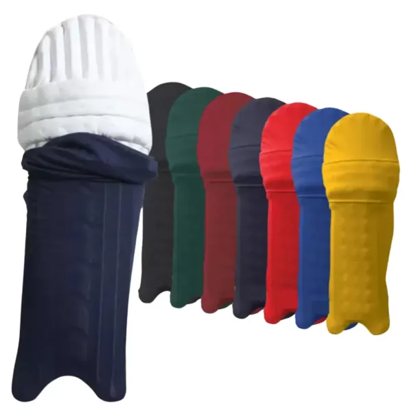 Aegis_Clad_&_Tournament_Leather_Cricket_Ball