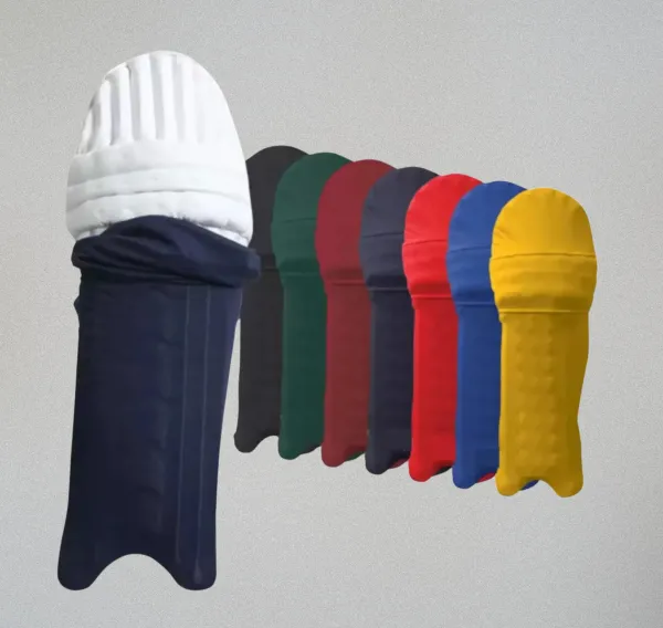 Aegis_Clad_&_Tournament_Leather_Cricket_Ball