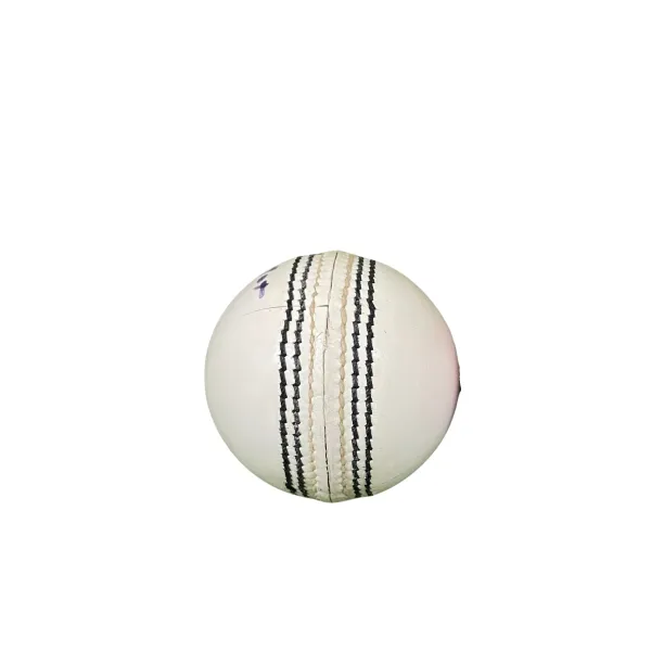 Aegis_Test_Leather_Cricket_Ball