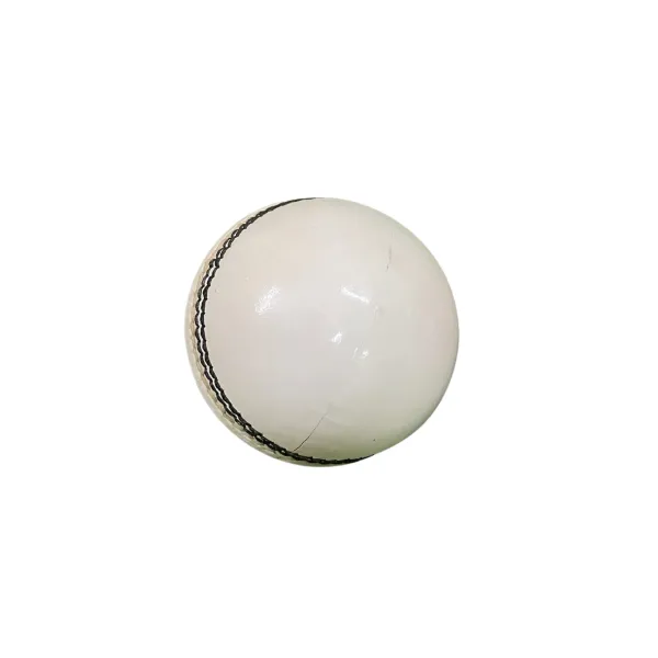 Aegis_Test_Leather_Cricket_Ball