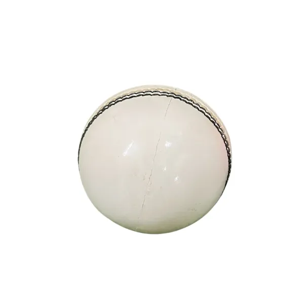Aegis_Test_Leather_Cricket_Ball