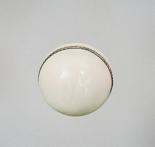 Aegis_Test_Leather_Cricket_Ball