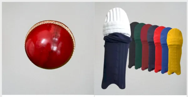 Aegis_Clad_&_Tournament_Leather_Cricket_Ball