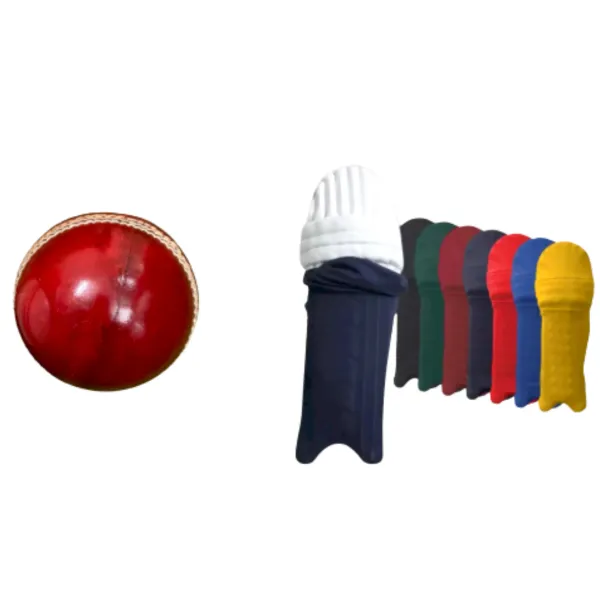 Aegis_Clad_&_Tournament_Leather_Cricket_Ball