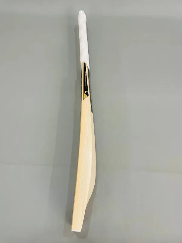Aegis_Punch_Edition_Kashmir_Willow_Cricket_Bat