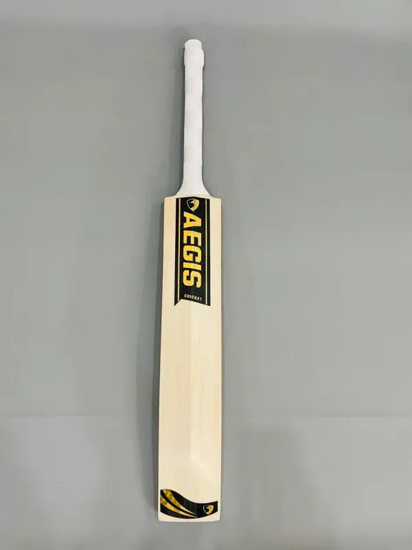 Aegis_Punch_Edition_Kashmir_Willow_Cricket_Bat
