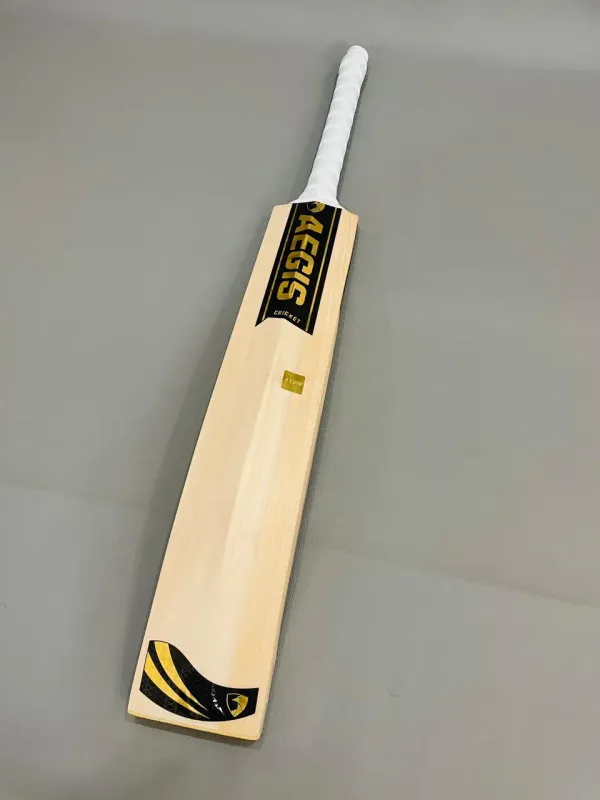 Aegis_Punch_Edition_Kashmir_Willow_Cricket_Bat