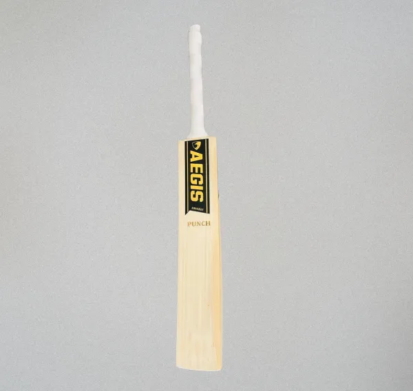 Aegis_Punch_Edition_Kashmir_Willow_Cricket_Bat
