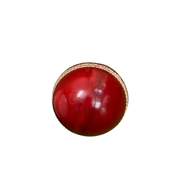 Aegis_Clad_&_Tournament_Leather_Cricket_Ball