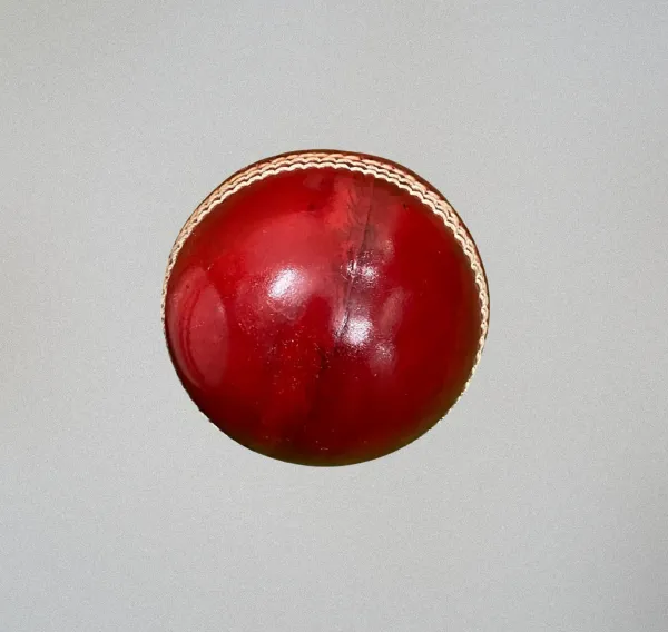 Aegis_Clad_&_Tournament_Leather_Cricket_Ball