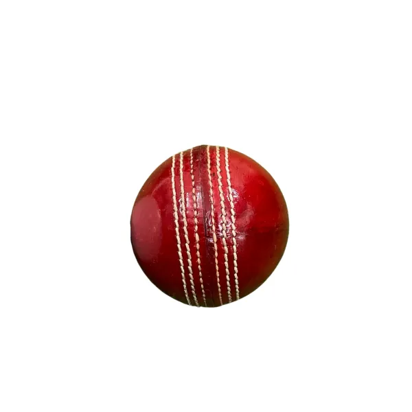 Aegis_Clad_&_Tournament_Leather_Cricket_Ball
