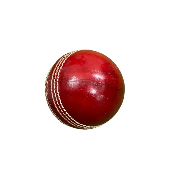 Aegis_Clad_&_Tournament_Leather_Cricket_Ball