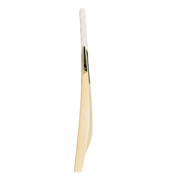 Aegis_Runner_Edition_Kashmir_Willow_Cricket_Bat