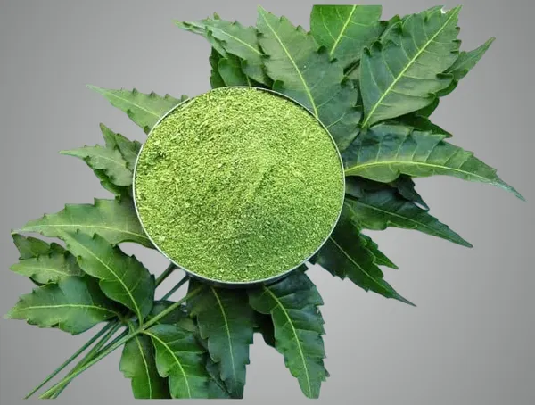 Neem_Leaf_Powder_For_Face_Body_&_Hair