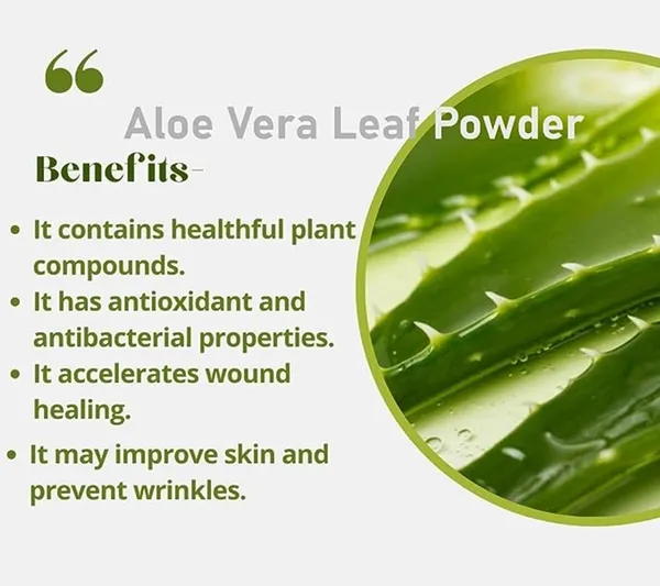 Aloe_Vera_Powder_100%_Natural_Whole_Leaf_Powder_For_Moisturizing_Healing_Soothing_Face_Pack/Hair_Care_For_Healthy_Hair_&_Growth