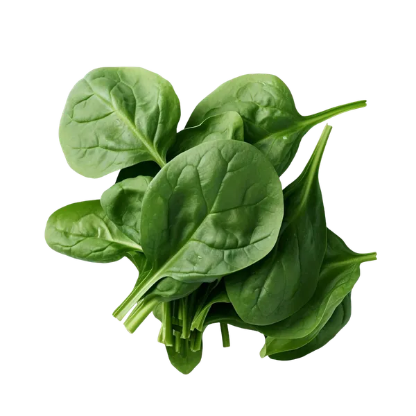 AmazerCare_Spinach_Powder_100g_|_100%_Natural_&_Preservative_Free_|_Rich_in_Dietary_Fiber,_Iron_&_Calcium_|_For_Smoothies,_Soups_&_Cooking_|_Super_Green_Health_Powder_for_Detox_&_Immunity_Booster