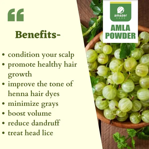 Amla_+_Reetha_+_Shikakai_+_Hibiscus_Powder_Combo_(4_Pouches)_-_100%_Natural_Hair_Growth_&_Care_Pack_For_Healthy_Hair_Care_&_Healthy_Growth100%_Natural_For_Hair_&_Growth_(Combo_Of_4_Pouches)_for_Strong,_Shiny_&_Healthy_Hair