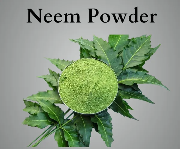 Neem_+_Tulsi_Powder_For_Face_Body_&_Hair