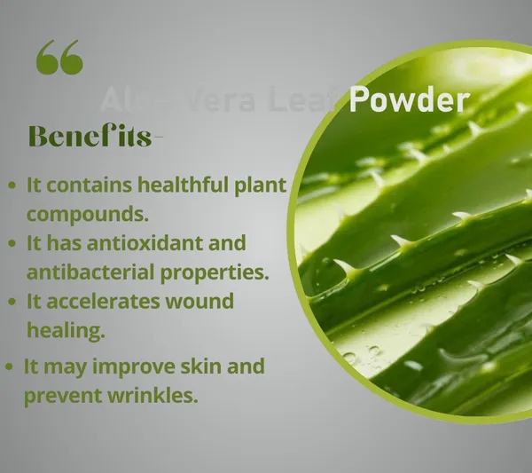 Bentonite_Clay_Powder_For_Face_Body_&_Hair