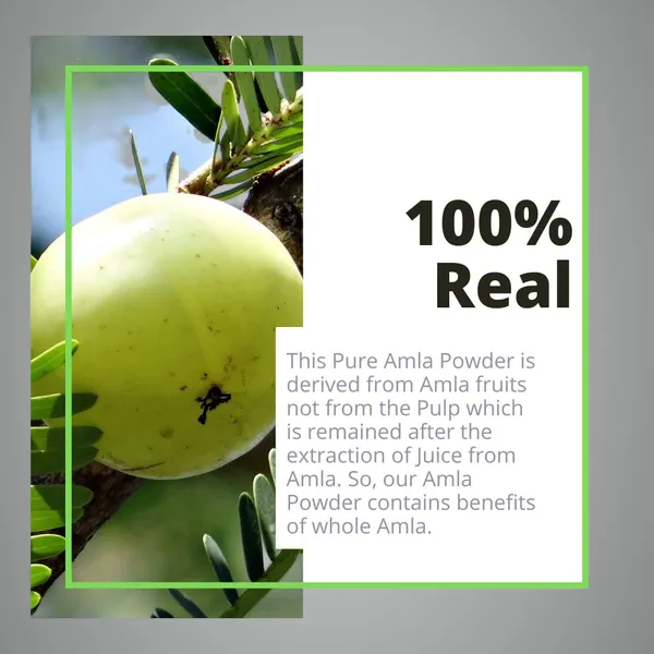 Amla_Fruit_Powder_Vitamic_C_Rich_Superfood_Dietary_Fiber_Pure_&_Natural_Dehydrated_Powder_For_Eating_&_Drink_Immunity_Booster