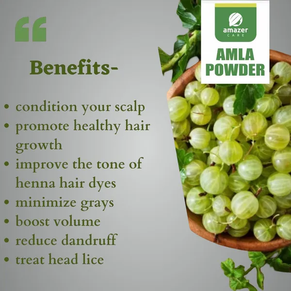 Brahmi_&_Amla_Powder_Hair_Care_Combo_100%_Natural_Amla_Brahmi_Powder_(150_Gm_+_175_Gm_2_Zipper_Pouches)