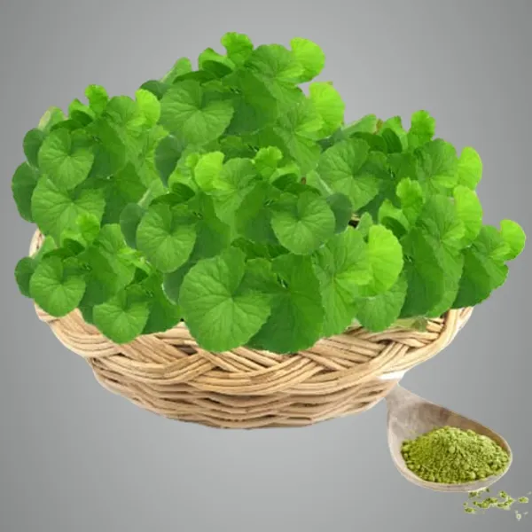 Brahmi_&_Amla_Powder_Hair_Care_Combo_100%_Natural_Amla_Brahmi_Powder_(150_Gm_+_175_Gm_2_Zipper_Pouches)