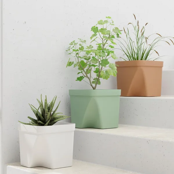 D_Square_Multicolor_(Pack_of_3)