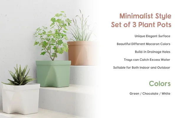 D_Square_Multicolor_(Pack_of_3)