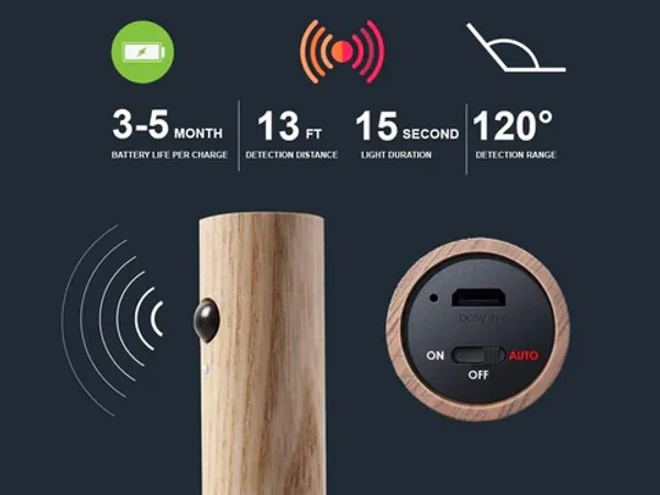 Crystal_Induction_Light_(Light_Wood_Color)