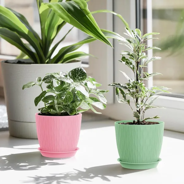 Multicolor_Flower_Pot_(Pack_Of_5)_For_Home_Decor_(ONLY_FLOWER_POTS,_NO_PLANTS)