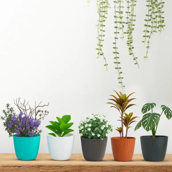 Multicolor_Flower_Pot_Good_Morning_Multi_(Pack_Of_5)_For_Home_Decor_(ONLY_FLOWER_POTS,_NO_PLANTS)