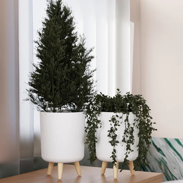 Flower_Pot_with_Plastic_Legs_(White)_(Pack_of_2)