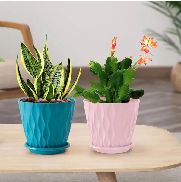 Multicolor_Flower_Pot_Wave_(Pack_Of_5)_For_Home_Decor_(ONLY_FLOWER_POTS,_NO_PLANTS)