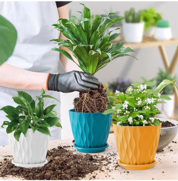 Multicolor_Flower_Pot_Wave_(Pack_Of_5)_For_Home_Decor_(ONLY_FLOWER_POTS,_NO_PLANTS)