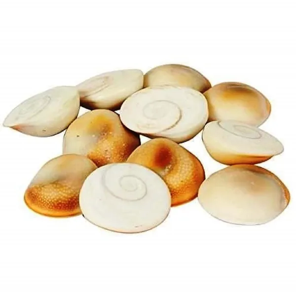 Set_Of_11_White_Gomati_Chakra_Stones_For_Puja_