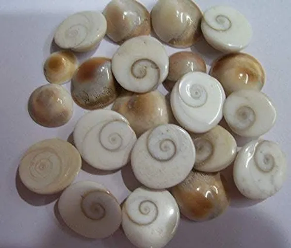 Set_Of_11_White_Gomati_Chakra_Stones_For_Puja_