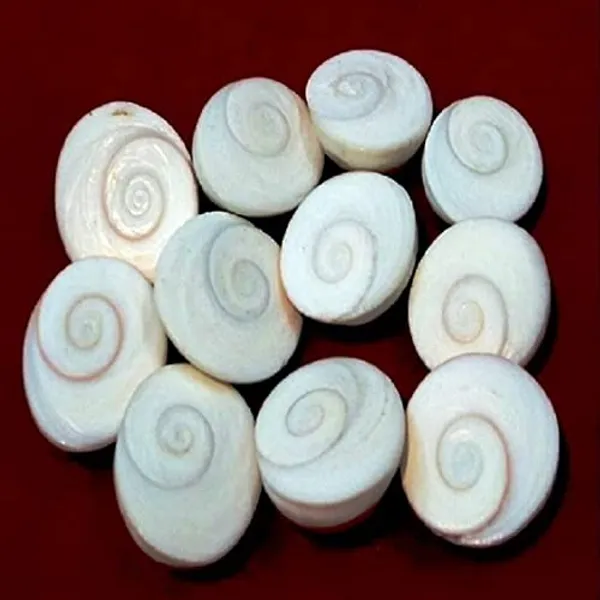 Set_Of_11_White_Gomati_Chakra_Stones_For_Puja_