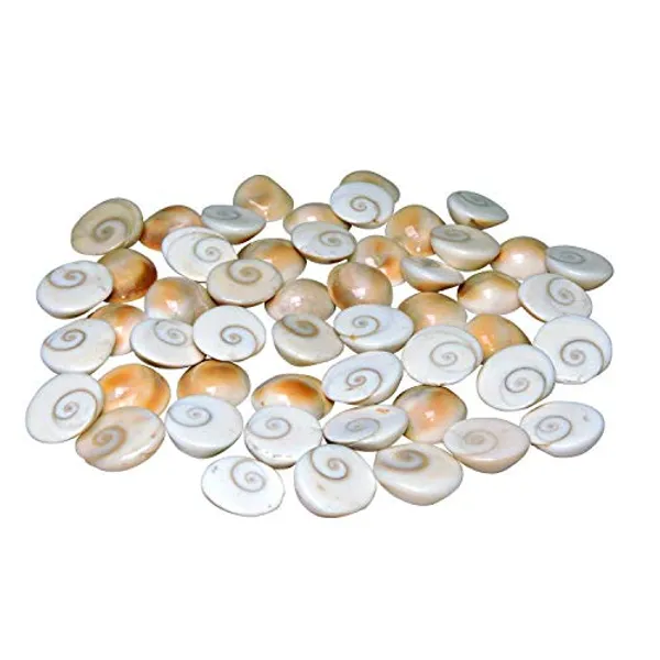 Set_Of_11_White_Gomati_Chakra_Stones_For_Puja_