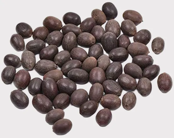 Brown_Sacred_Kamal_Gatta_Lotus_Seeds_For_Auspicious_Lakshmi_Pooja,_Kuber_Pooja,_And_Diwali_Puja_(Pack_Of_21)