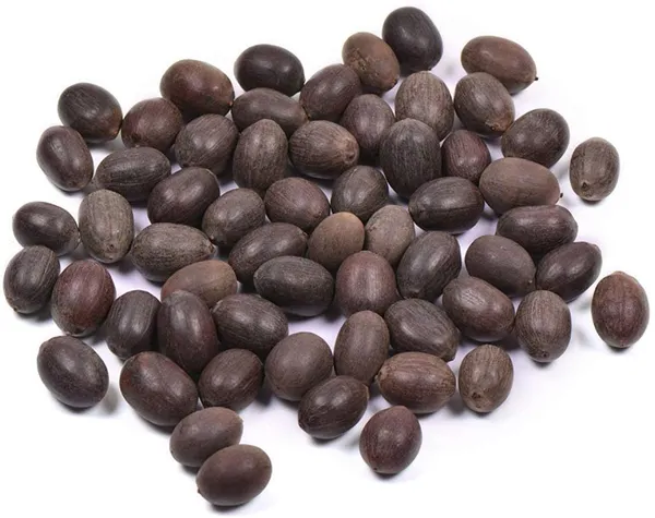 Brown_Sacred_Kamal_Gatta_Lotus_Seeds_For_Auspicious_Lakshmi_Pooja,_Kuber_Pooja,_And_Diwali_Puja_(Pack_Of_21)