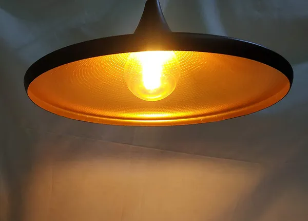 Black_Hanging_Lights_For_Living_Room/Lights_For_Ceiling/Hanging_Lamps_For_Home_Decoration/Decorative_Hanging_Lights,Metal_(Tulip_(Pack_Of_2),_With_Bulb)