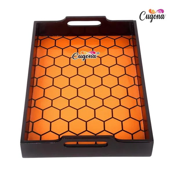 Glossy_Wooden_Serving_Tray_with_Epoxy_Resin_Coating,_14x10x2_Inches,_Engineered_Wood,_Enamel_Deco-Painted_Sides__Multipurpose_Tray_for_Serving,_Decoration,_Kitchen_Organizer_Wooden_Tray